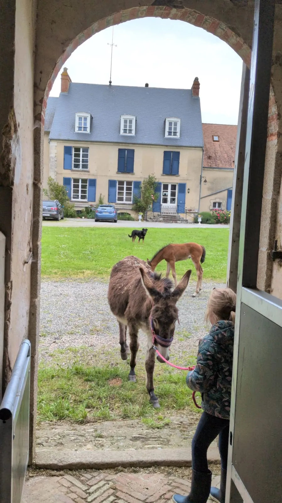 Vue de l'asinerie de La Gastine à Louzes dans la Sarthe